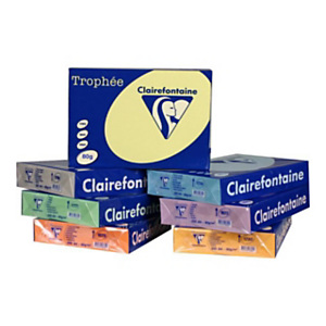CLAIREFONTAINE 5 ramettes Trophée Papier Couleur pour Jet d'encre et Laser A4 Lilas 80 g/m² 500 Feuilles CLAIREFONTAINE 5 ramettes Trophée Papier Couleur pour Jet d'encre et Laser A4 Lilas 80 g/m² 500 Feuilles