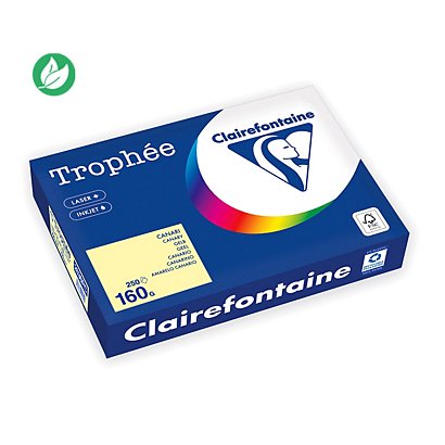 Clairefontaine Papier A4 couleur Trophée - 160 g - 250 feuilles - Jaune Pastel