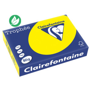 Clairefontaine Papier A4 couleur Trophée - 80g - Ramette de 500 feuilles - Jaune intense Clairefontaine Papier A4 couleur Trophée - 80g - Ramette de 500 feuilles - Jaune intense