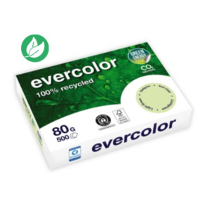 Clairefontaine Papier A4 Evercolor - 80g - Ramette de 500 feuilles - Vert Clair