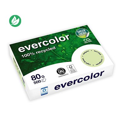 Clairefontaine Papier A4 Evercolor - 80g - Ramette de 500 feuilles - Vert Clair