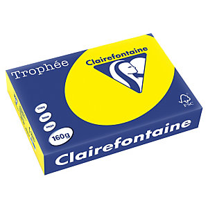 Clairefontaine Papier couleur A4 Jaune soleil 160g Trophée - Ramette de 250 feuilles
