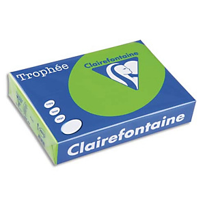CLAIREFONTAINE Ramette de 250 feuilles papier couleur TROPHEE 160 grammes format A4 Jaune soleil 1029 CLAIREFONTAINE Ramette de 250 feuilles papier couleur TROPHEE 160 grammes format A4 Jaune soleil 1029