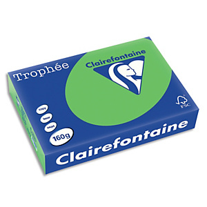 CLAIREFONTAINE Ramette de 250 feuilles papier couleur TROPHEE 160 grammes format A4 Vert menthe 1025 CLAIREFONTAINE Ramette de 250 feuilles papier couleur TROPHEE 160 grammes format A4 Vert menthe 1025