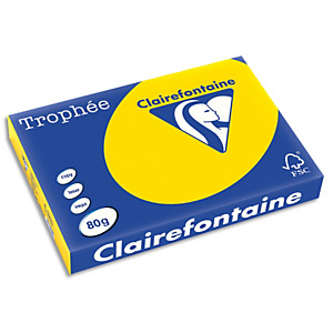CLAIREFONTAINE Ramette de 500 feuilles papier couleur TROPHEE 80 grammes format A3 bouton d'or 1255 CLAIREFONTAINE Ramette de 500 feuilles papier couleur TROPHEE 80 grammes format A3 bouton d'or 1255