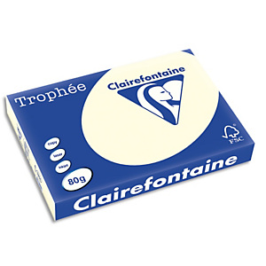 CLAIREFONTAINE Ramette de 500 feuilles papier couleur TROPHEE 80 grammes format A3 Gris perle 1251 CLAIREFONTAINE Ramette de 500 feuilles papier couleur TROPHEE 80 grammes format A3 Gris perle 1251
