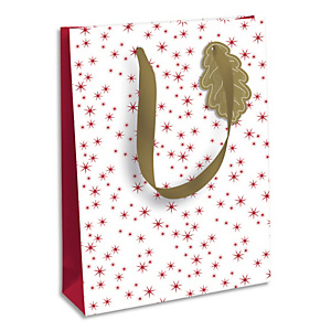 CLAIREFONTAINE Sac cadeau Fin d'année 26,5x14x33cm en carte 210g. Anses coton. Motif Etoile rouge/blanc CLAIREFONTAINE Sac cadeau Fin d'année 26,5x14x33cm en carte 210g. Anses coton. Motif Etoile rouge/blanc