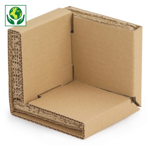 Coin carton Coin carton
