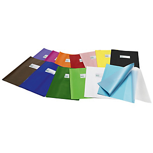 COLOROSA Coprimaxi GreenLine - c/alette - PVC - 21 x 30 cm - lucido coprente - verde chiaro COLOROSA Coprimaxi GreenLine - c/alette - PVC - 21 x 30 cm - lucido coprente - verde chiaro