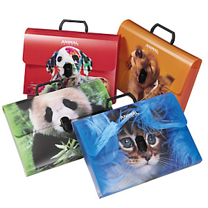 COLOROSA Valigetta Animal Friends Color - 28 x 38 cm - dorso 5 cm - PP - fantasie assortite COLOROSA Valigetta Animal Friends Color - 28 x 38 cm - dorso 5 cm - PP - fantasie assortite