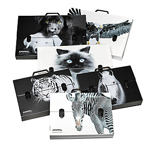 COLOROSA Valigetta polionda Animal Friends - 28 x 38 cm - dorso 5 cm - fantasie assortite COLOROSA Valigetta polionda Animal Friends - 28 x 38 cm - dorso 5 cm - fantasie assortite