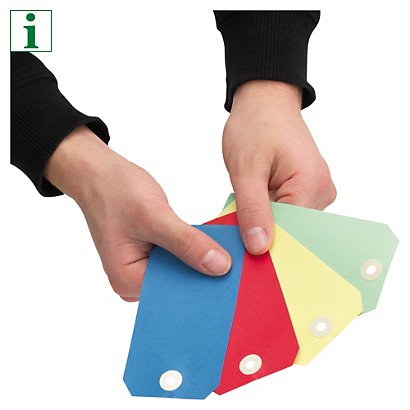 Coloured paper tags with wire ties - 1