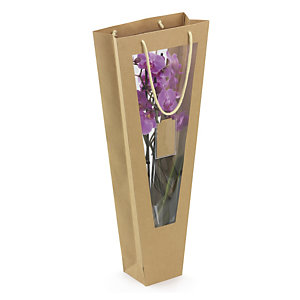 Confezione regalo per orchidea con vetrina e maniglie