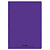 CONQUERANT C9 Cahier piqûre 17x22cm 96 pages 90g grands carreaux Seyès. Couverture polypropylène Violet - 1