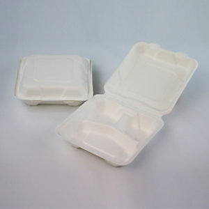 Contenitore monouso in polpa di cellulosa con coperchio, 3 scomparti, Capacità 800 ml, 20,3 x 20,3 x 6,3 cm, Bianco