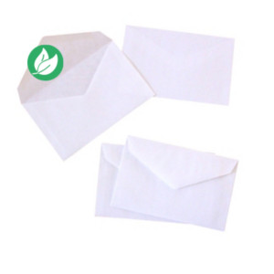 La Couronne Enveloppe élections recyclée 90 x 140 mm 70g sans fenêtre - Blanc - Lot de 1000 La Couronne Enveloppe élections recyclée 90 x 140 mm 70g sans fenêtre - Blanc - Lot de 1000
