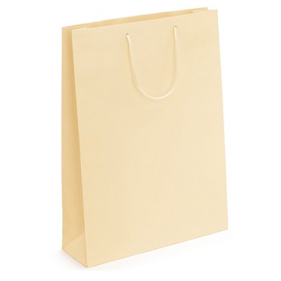 Cream matt laminated custom printed bags - 250x300x90mm - 2 colours, 1 side