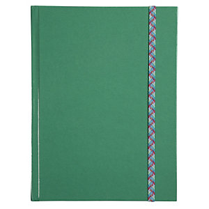 LE DAUPHIN Carnet Iderama 220x170, 192 pages lignées - Vert