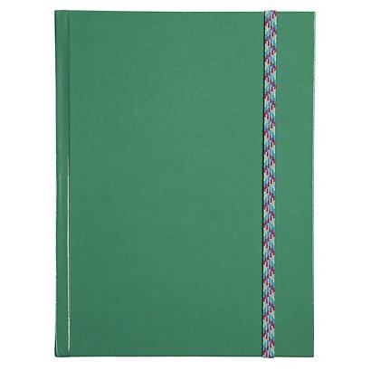 LE DAUPHIN Carnet Iderama 220x170, 192 pages lignées - Vert - 1