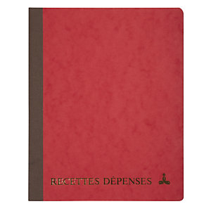 LE DAUPHIN Piqûre 220X170 Recettes-dépenses 80 pages - Couleurs assorties