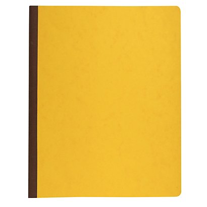 LE DAUPHIN Piqûre 315X245 8 colonnes/page 80 pages foliotées avec paresseuse - Couleurs assorties - 1