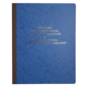 LE DAUPHIN Piqûre 315X245 Registre des observations et mises en demeure 40 pages - Bleu LE DAUPHIN Piqûre 315X245 Registre des observations et mises en demeure 40 pages - Bleu