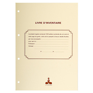 LE DAUPHIN Recharge 297X210 Livre d'inventaire & Livre journal 150 feuillets foliotés 90g + gardes - Blanc LE DAUPHIN Recharge 297X210 Livre d'inventaire & Livre journal 150 feuillets foliotés 90g + gardes - Blanc