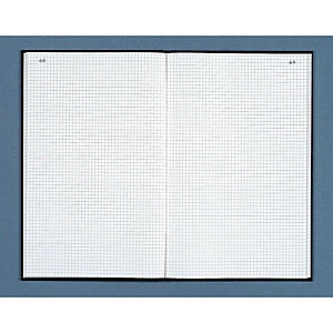 DAUPHIN Registre toilé folioté 22,5X35 cm, 200 pages quadrillées 5x5 - Couverture noire