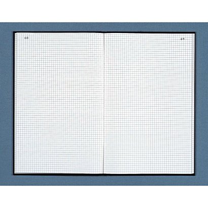 DAUPHIN Registre toilé folioté 22,5X35 cm, 200 pages quadrillées 5x5 - Couverture noire