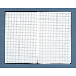 DAUPHIN Registre toilé folioté 22,5X35 cm 300 pages quadrillées 5x5 - Couverture noire