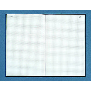 Dauphin Registre toilé folioté A4 (297x 210 mm) 200 pages quadrillées 5x5 - Couverture noire