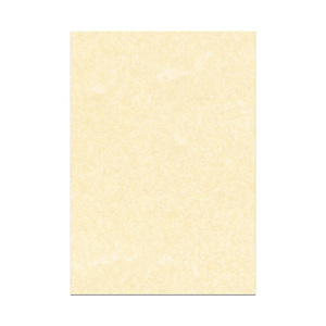 DECAdry Carta da lettere A3 per fotocopie e stampe, 165 g/m², Pergamena Champagne (confezione 25 fogli) DECAdry Carta da lettere A3 per fotocopie e stampe, 165 g/m², Pergamena Champagne (confezione 25 fogli)