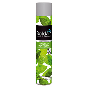Désodorisant aérosol bactéricide parfum menthe Boldair, 500 ml Désodorisant aérosol bactéricide parfum menthe Boldair, 500 ml