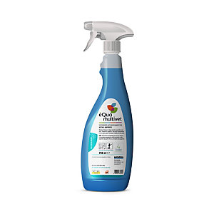 Detergente per vetri e superfici dure Ecolabel
