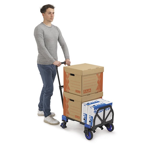 Diable chariot 2 en 1 - 7