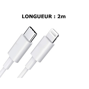 DLH CABLE USB-C VERS APPLE LIGHTNING CERTIFIE MFI 2M 3.25A 65W MAX BLANC, 2 m, Lightning, USB C, Mâle, Mâle, Blanc DY-TU4464W DLH CABLE USB-C VERS APPLE LIGHTNING CERTIFIE MFI 2M 3.25A 65W MAX BLANC, 2 m, Lightning, USB C, Mâle, Mâle, Blanc DY-TU4464W