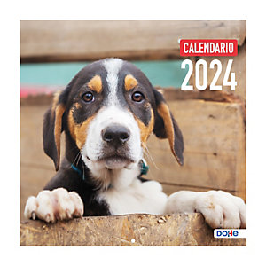 DOHE Perros Calendario, mensual para escribir, de pared 2024, 300 x 300 mm, castellano