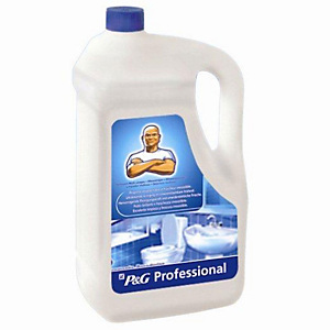 DON LIMPIO Limpiador Baño Profesional 5 l DON LIMPIO Limpiador Baño Profesional 5 l