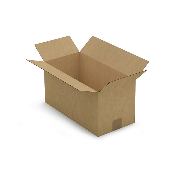 Doos van enkelgolfkarton lengte 40 tot 50 cm RAJA 40 x 20 x 20 cm