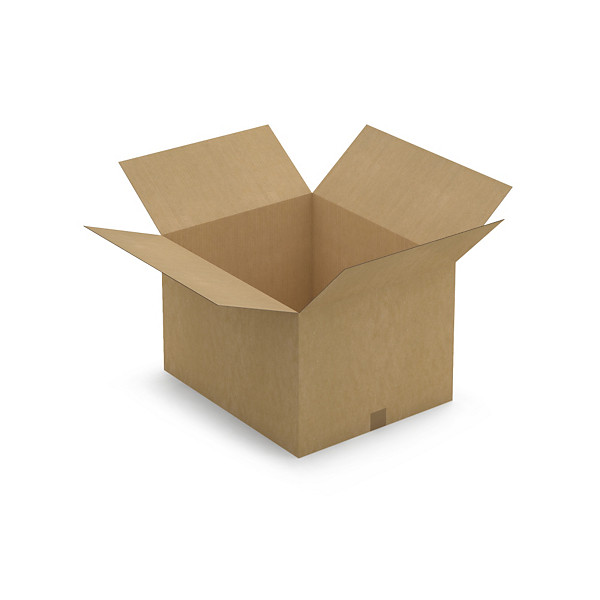 Doos van enkelgolfkarton lengte vanaf 50 cm RAJA 59 x 49 x 38 cm - 1