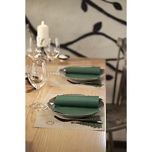 Duni Tovaglietta monouso Dunicel, 30 x 40 cm, Design Fir Forest (confezione 100 pezzi) Duni Tovaglietta monouso Dunicel, 30 x 40 cm, Design Fir Forest (confezione 100 pezzi)