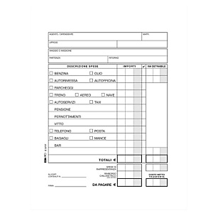 EDIPRO Busta note spese - F.to cm 15 x 28 - Uso mano (confezione 10 pezzi) EDIPRO Busta note spese - F.to cm 15 x 28 - Uso mano (confezione 10 pezzi)