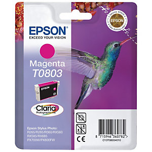EPSON Cartouche d'encre Claria Photographic T0803 M Colibri, C13T08034010 (Pack de 1), Magenta