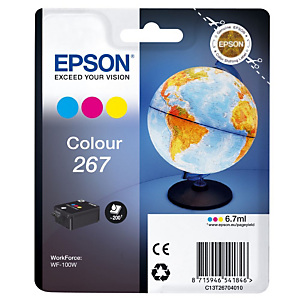 EPSON Cartouche d'encre T2670 Mappemonde, C13T26704010 (Pack de 1), Tricolore
