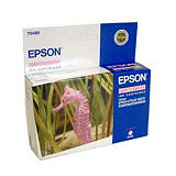 Epson Cartuccia inkjet Serie Cavalluccio Marino T0486, C13T04864010, Magenta Chiaro, Pacco singolo Epson Cartuccia inkjet Serie Cavalluccio Marino T0486, C13T04864010, Magenta Chiaro, Pacco singolo
