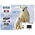 EPSON, Materiale di consumo, Multipack 26xl 4pz orso polare, C13T26364010 - 2