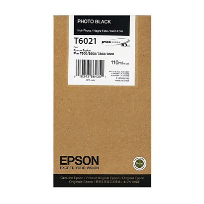 Epson T6021, C13T602100, Cartucho de Tinta, Negro Fotográfico - 1