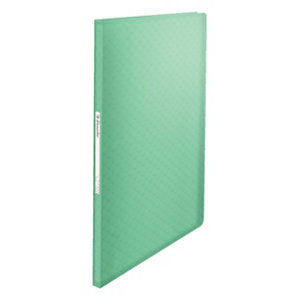 Esselte Colour'Ice Carpeta de fundas A4, 40 fundas rugosas, cubierta flexible, verde