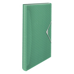 Esselte Colour'Ice Clasificador acordeón con 6 compartimentos, tamaño A4, 3 solapas, polipropileno, verde Esselte Colour'Ice Clasificador acordeón con 6 compartimentos, tamaño A4, 3 solapas, polipropileno, verde