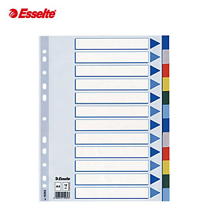 Esselte Divisorio neutro, A4, 12 tasti, Cartoncino, Colori assortiti